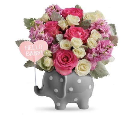 Teleflora's Hello Sweet Baby Pink Elephant