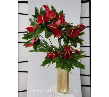 Red Oval Anthurium