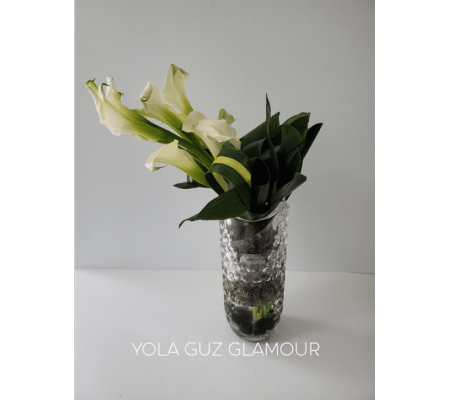Luxurious White Calla Lilies