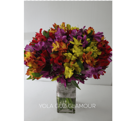 Passion Alstromerias