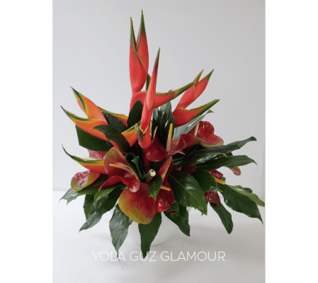 Anthurium and Heliconia Exotica