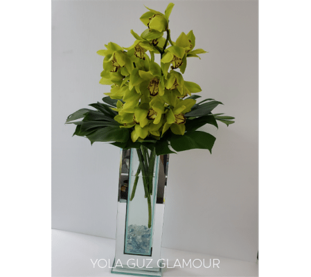 Modern Orchids Glamour