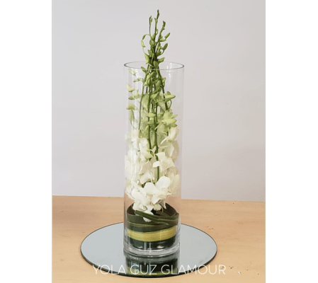White Orchids in Cylinder