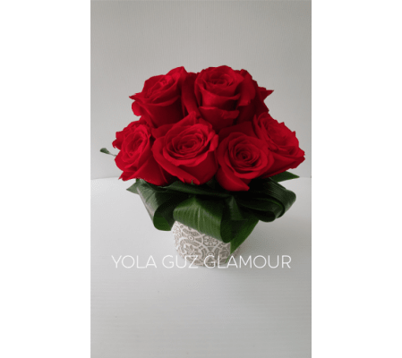 European Organic Roses