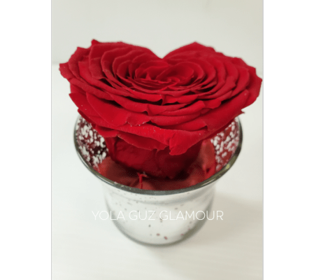 Passionate Preserved Heart