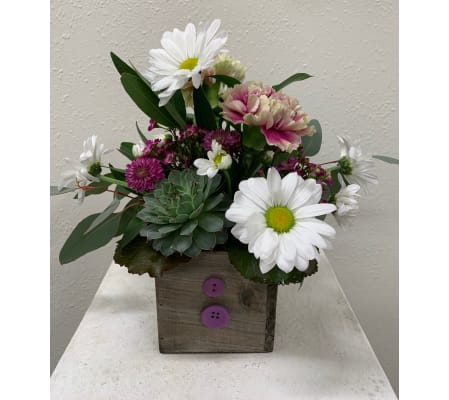 Succulent and Blooms Box