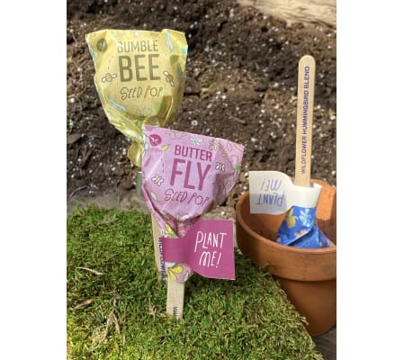 Seed Pop Kit with pots of Soil