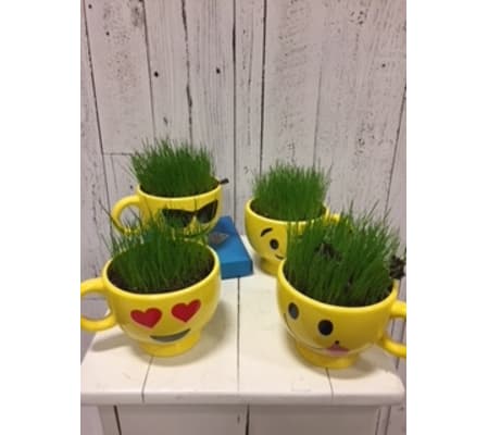 Grow Your Own Hair ( kit)