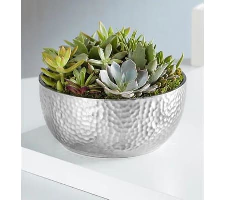 Cacti Garden in silver