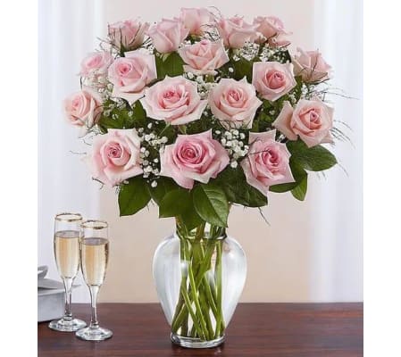 Pink Roses Luxury