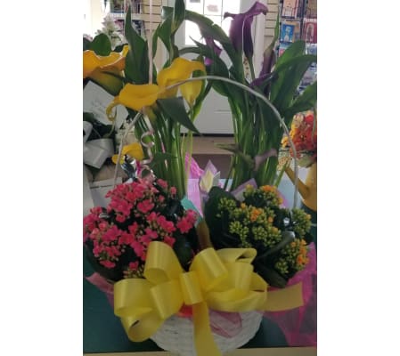 Mixed Flowering Plant Basket