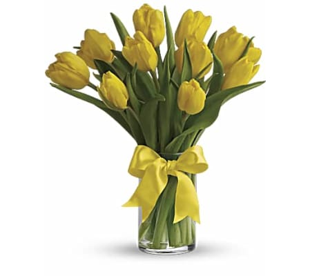 Spring Yellow Tulips