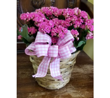 EASTER MUM WITH BOW
