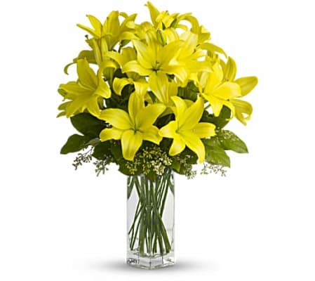 Sunny Lilies