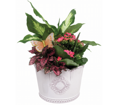 Medium Spring Planter Garden