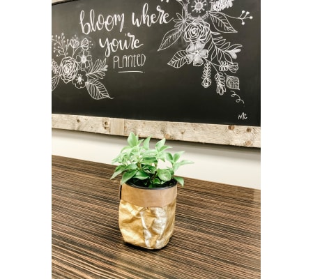 Green Thumb