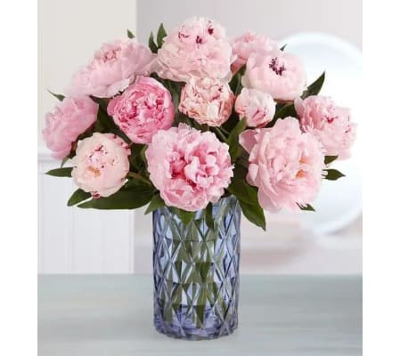 Pink Pure Elegant Peonies