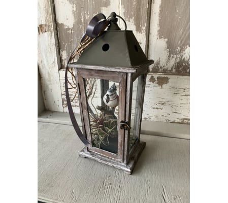Masculine Lantern with Bird