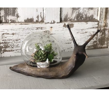 Copper Snail Terrarium
