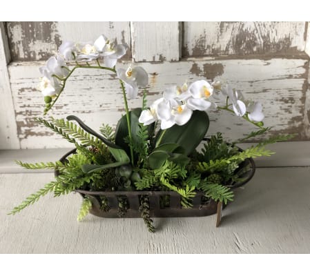 Orchid Centerpiece