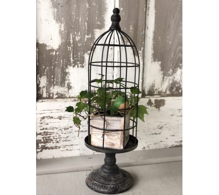 Bird in Cage with Ivy