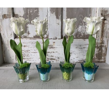 Tulip Potter
