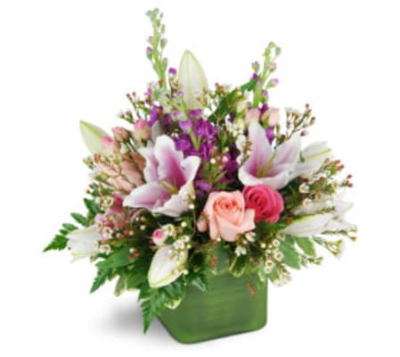 Spring Flowers