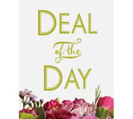 Oakleaf Deal of the Day