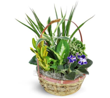 Basket Full of Love