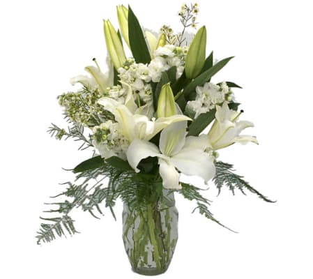 Lilies of Glory
