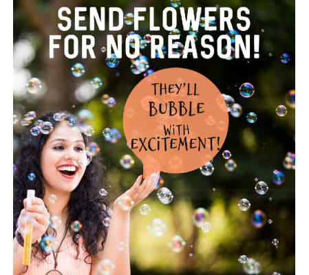 Designer's Choice-Bubble