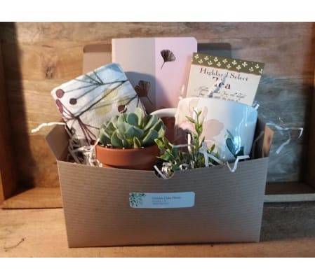 Quiet Time Gift Box