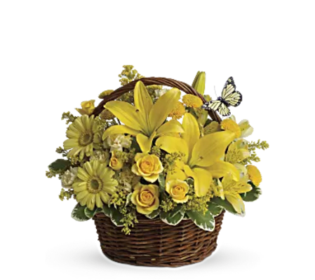 Basket of Yellow flowers
