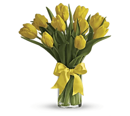 Sunny side Tulips