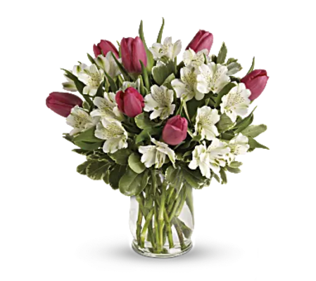 Alstromeria and Tulips