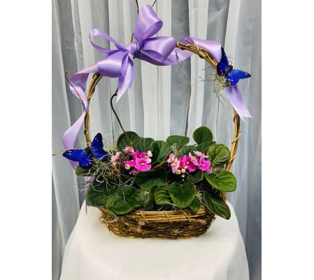 Ellington's Violet Basket - Colors Vary