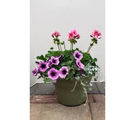 Small Patio Pot for Sun