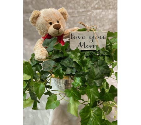 Mom's Ivy Garden