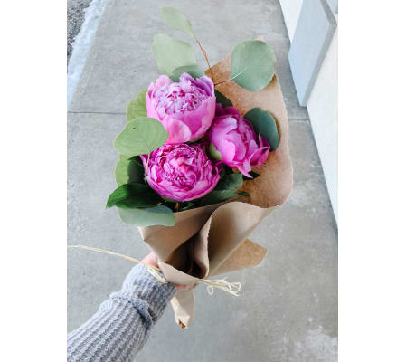I love Peonies