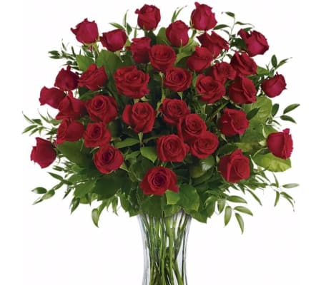 Red Magnificence