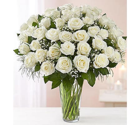 White Wonderment