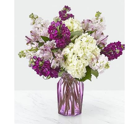 VIOLET DELIGHT BY FTD