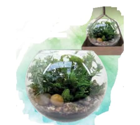Planter - Rosebowl Terrarium