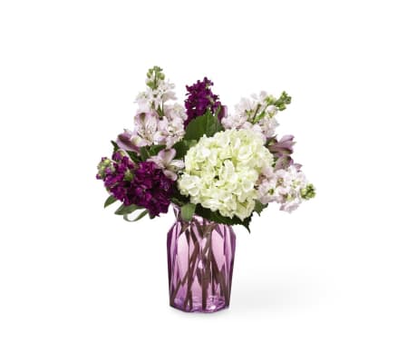 Ftd's Violet Delight