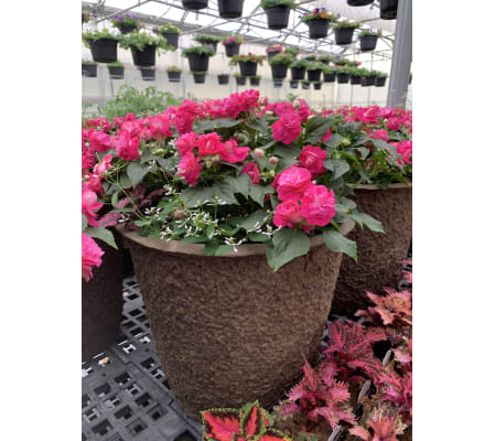 Shade Drop Pot with Bow