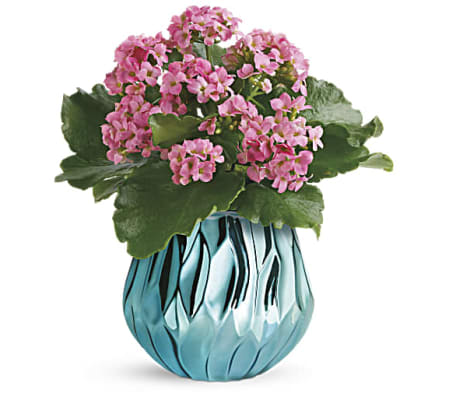 Blooming Gem