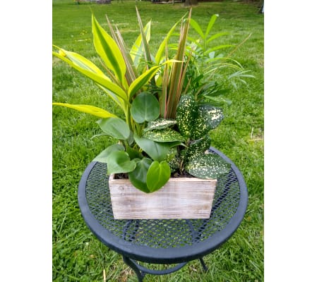 Rustic planter box
