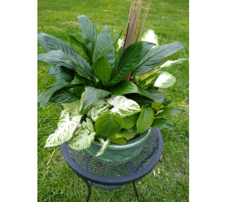 Ceramic Serenity Garden