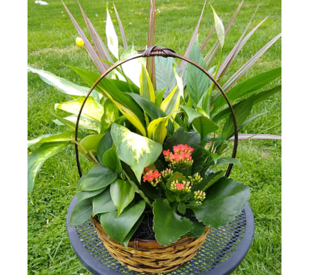 Beautiful Basket Garden