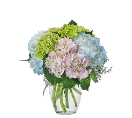 Southern Charm Mother's Day Bouquet